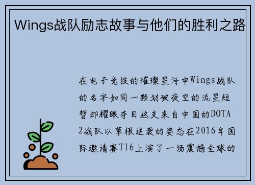 Wings战队励志故事与他们的胜利之路